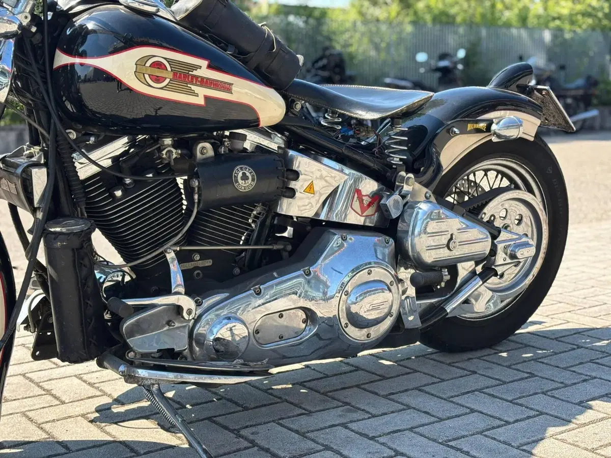 Harley-Davidson 1340 Springer (1990 - 98) - FXSTS (10)