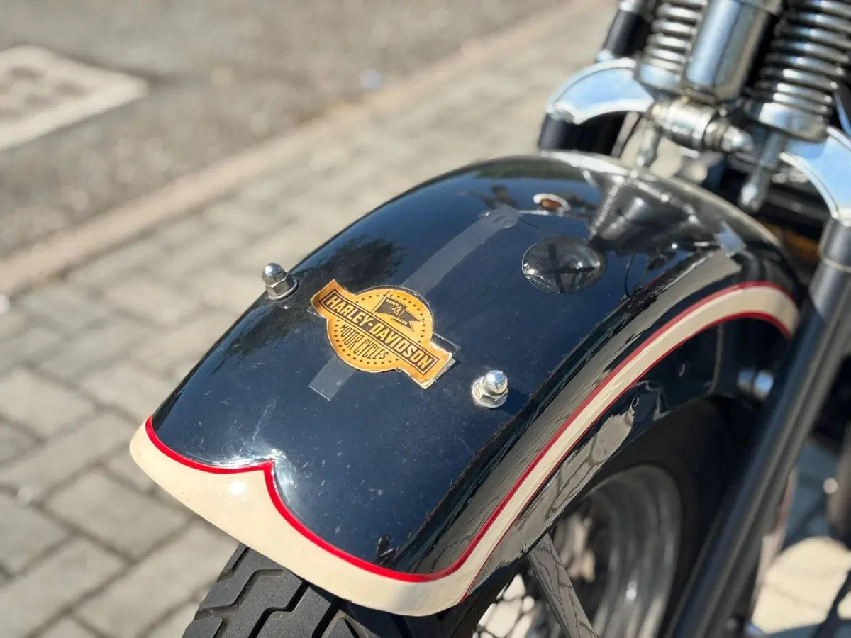 Harley-Davidson 1340 Springer (1990 - 98) - FXSTS (11)