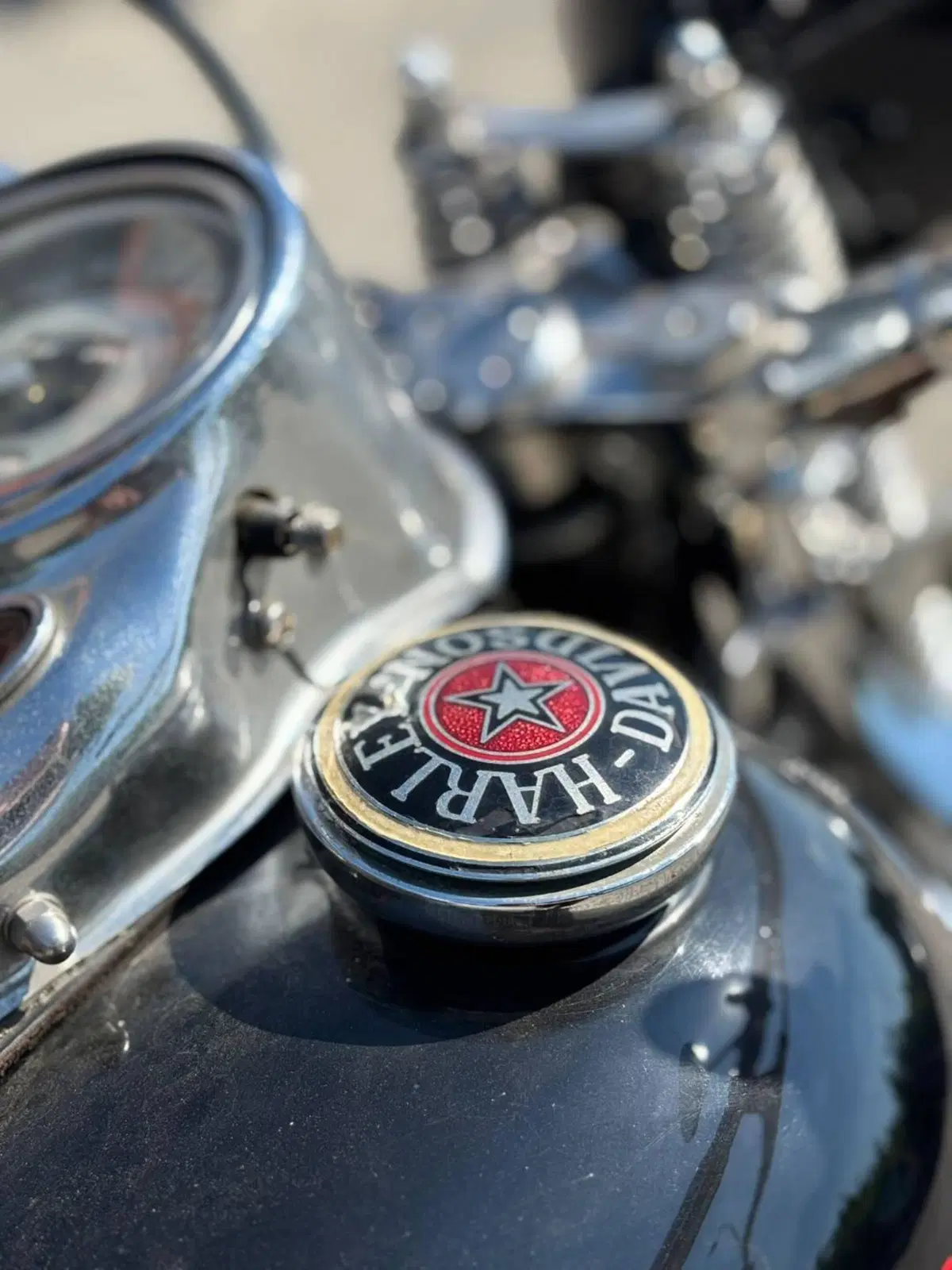 Harley-Davidson 1340 Springer (1990 - 98) - FXSTS (15)