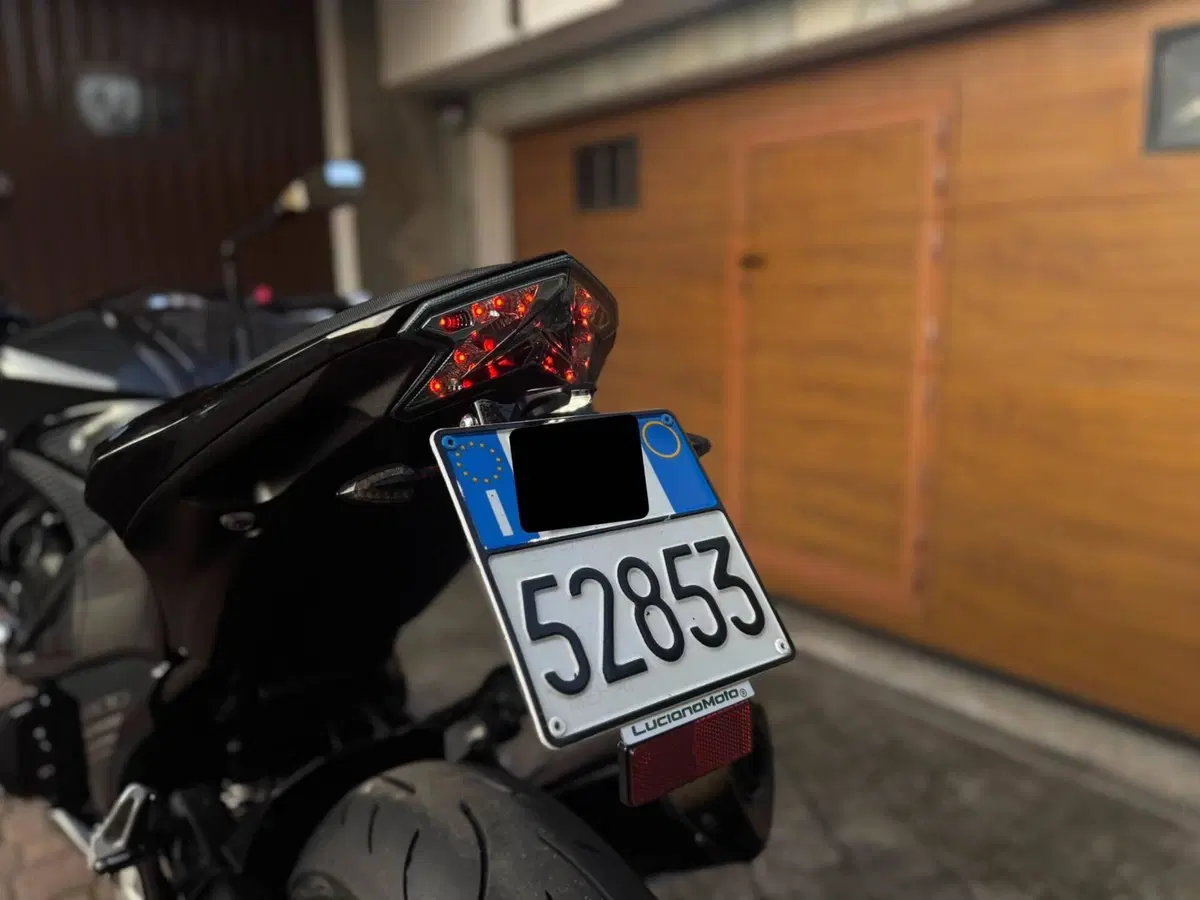 Kawasaki Z 800 e ABS (2012 - 16) (15)