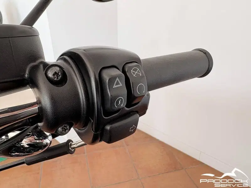 Harley-Davidson XL 1200 CX Roadster (2016 - 18) (16)