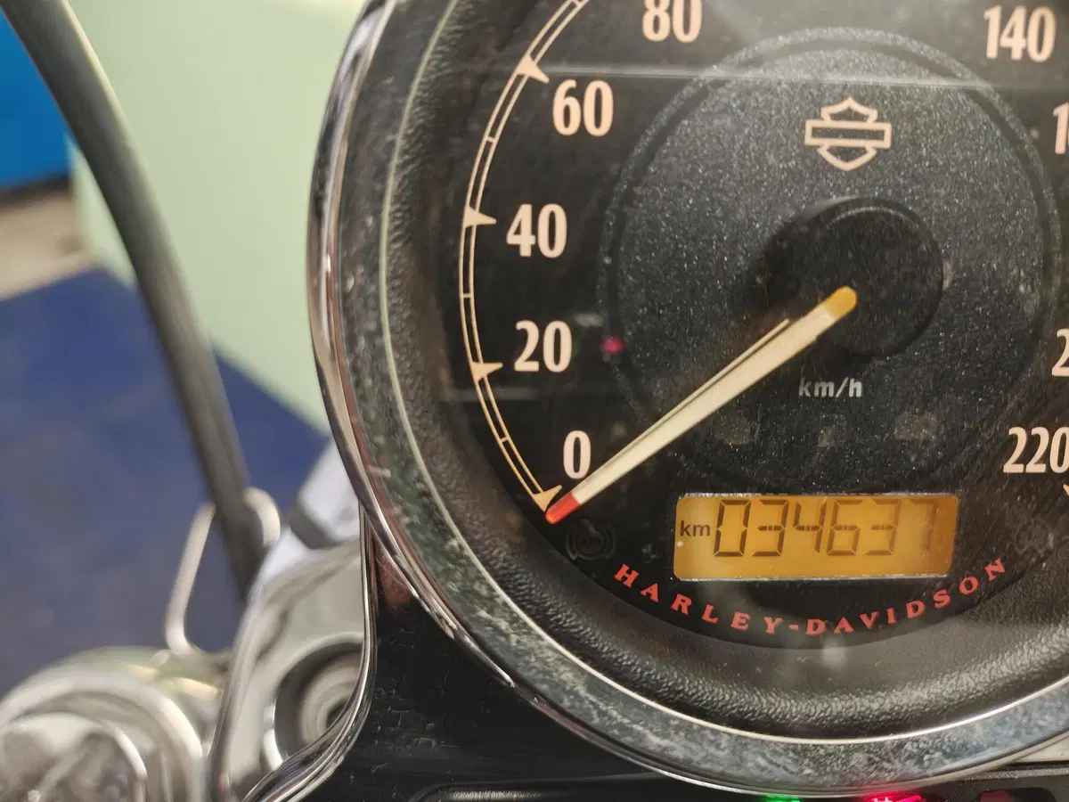Harley-Davidson 1200 Custom ABS (2014 - 16) - XL 1200C (6)