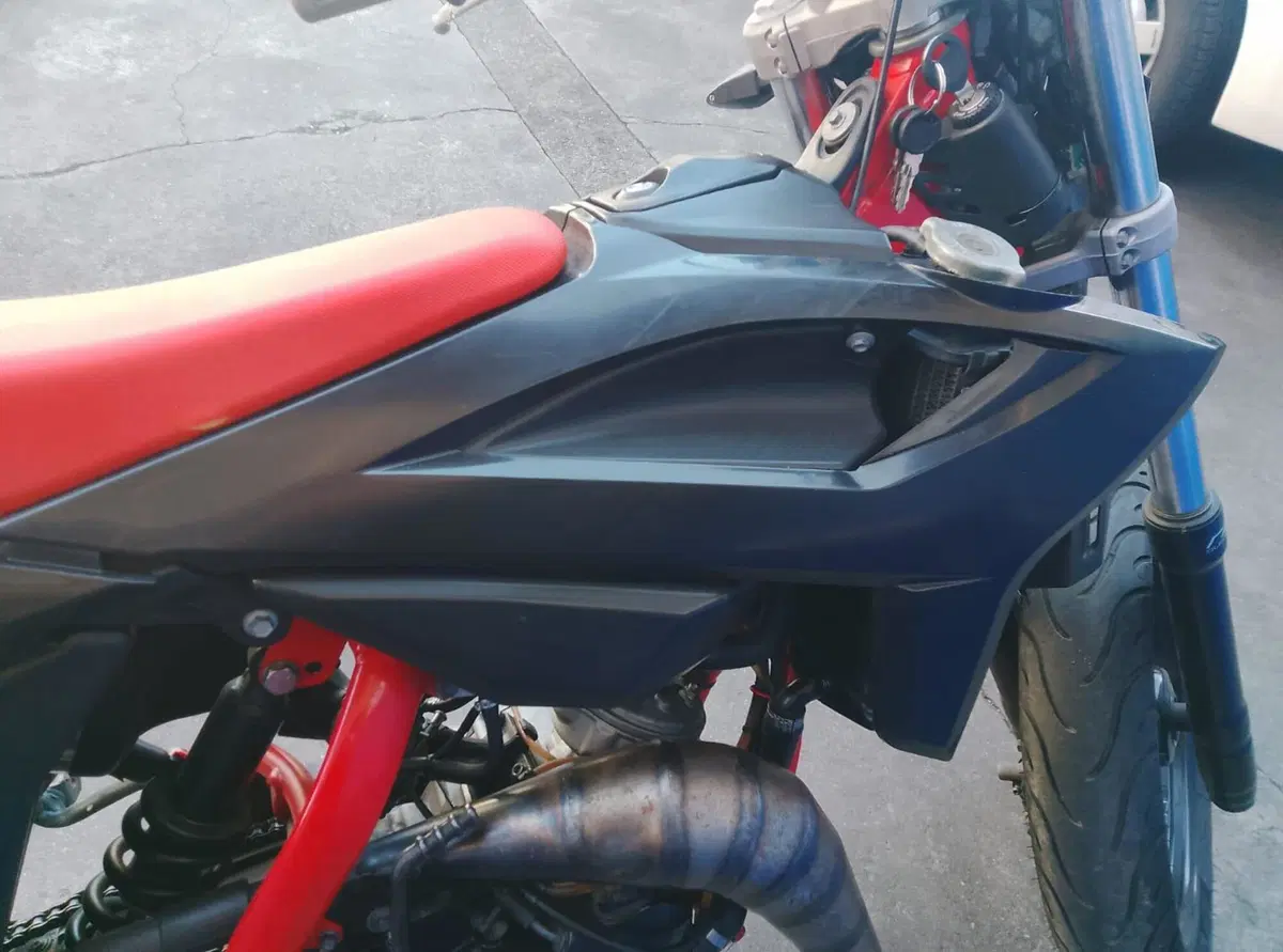 Betamotor RR 50 Motard Sport (2021 - 26) (16)