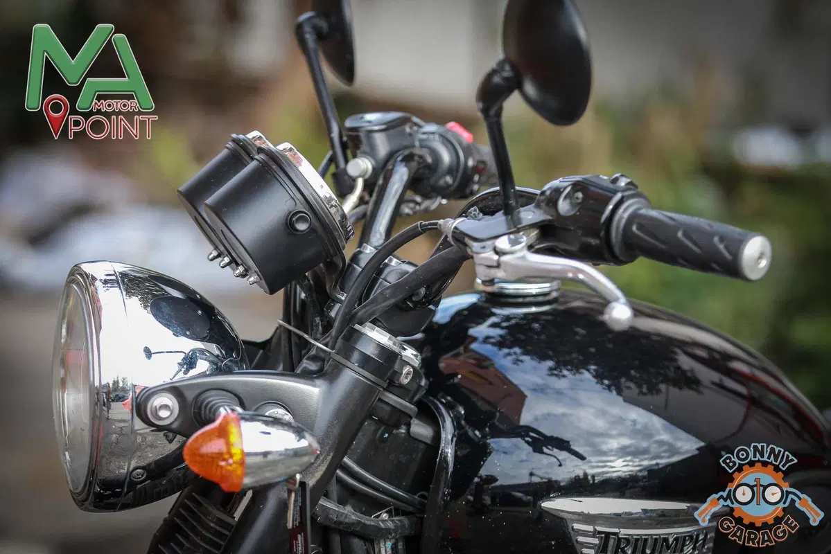Triumph Bonneville T100 (2008 - 16) (13)