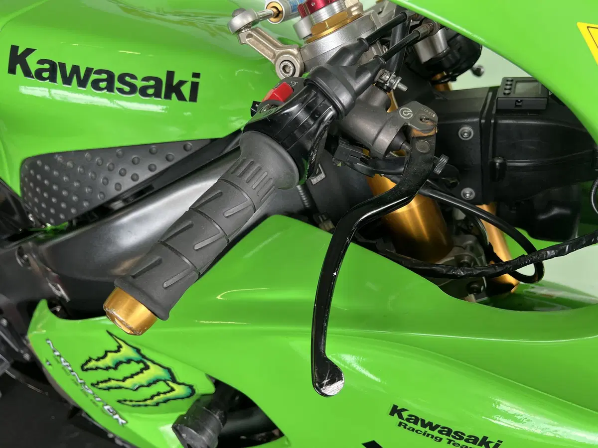 Kawasaki Ninja 636 ZX-6R (2005 - 06) (13)