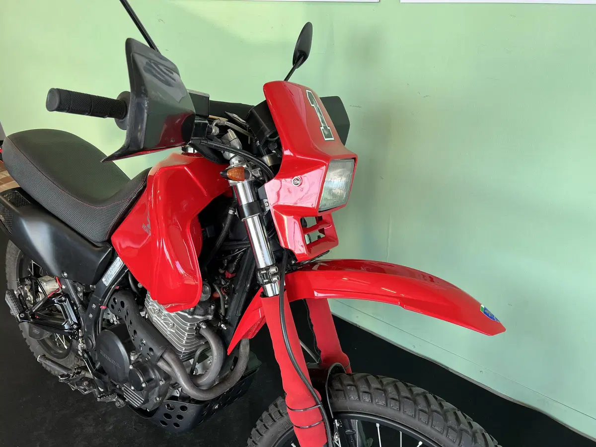 Honda NX 650 Dominator (1988 - 90) (13)