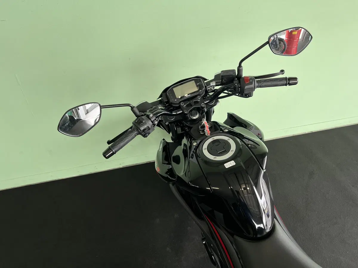 Suzuki GSX-S125 (2017 - 20) (20)