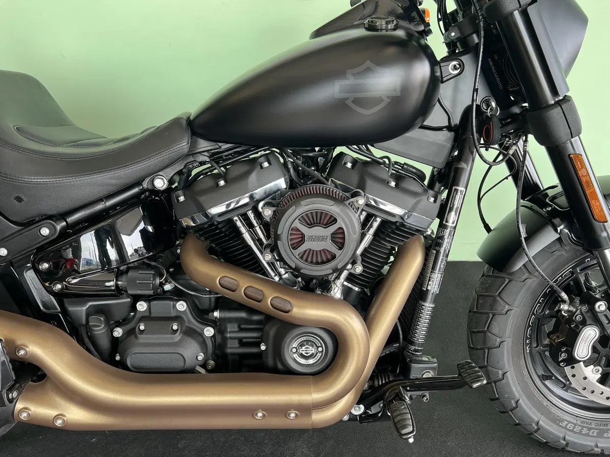 Harley-Davidson 107 Fat Bob (2017 - 20) - FXFB (9)