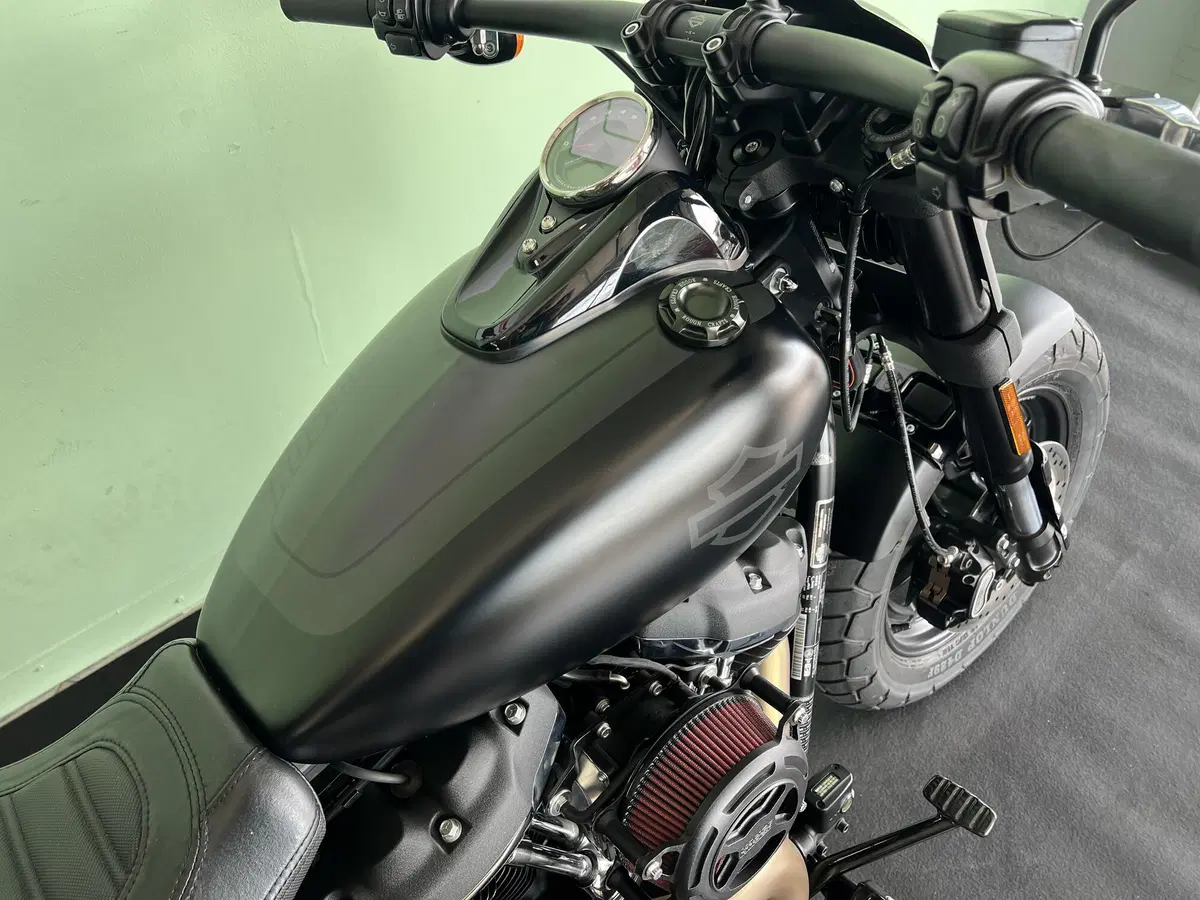 Harley-Davidson 107 Fat Bob (2017 - 20) - FXFB (12)