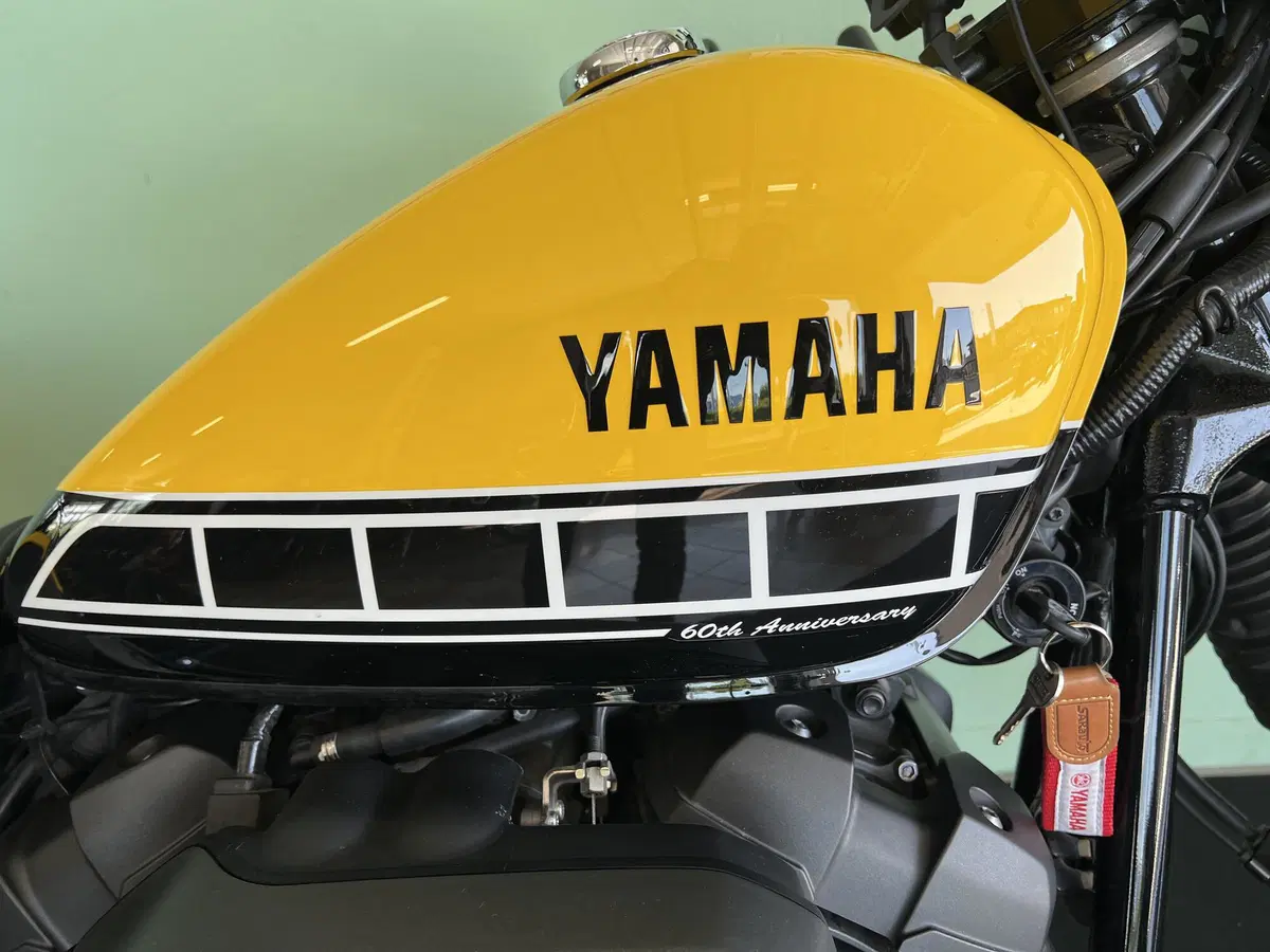 Yamaha XV 950 ABS Racer 60th Anniversary (2015 - 17) (13)