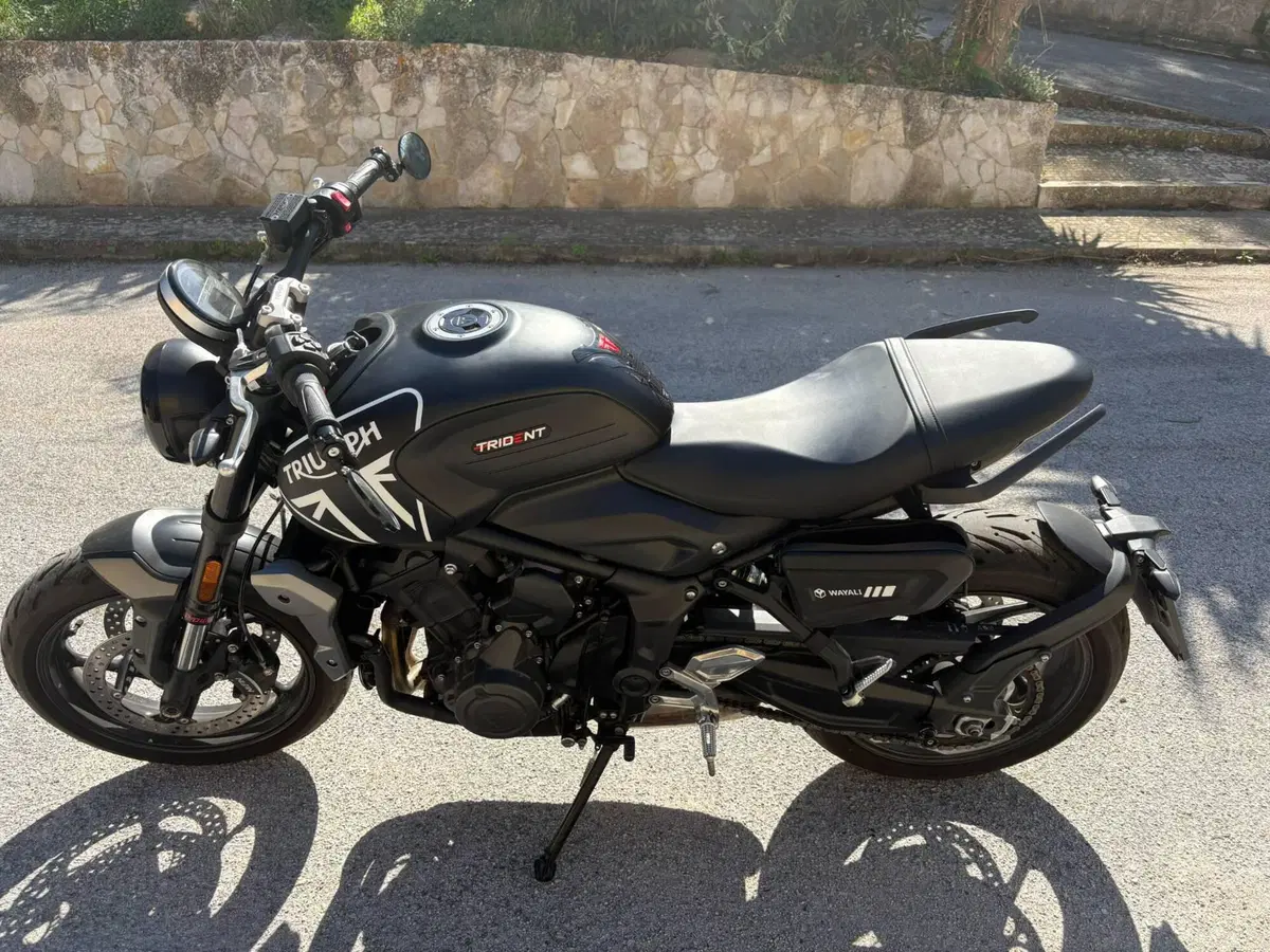 Triumph Trident 660 (2021 - 24) (4)