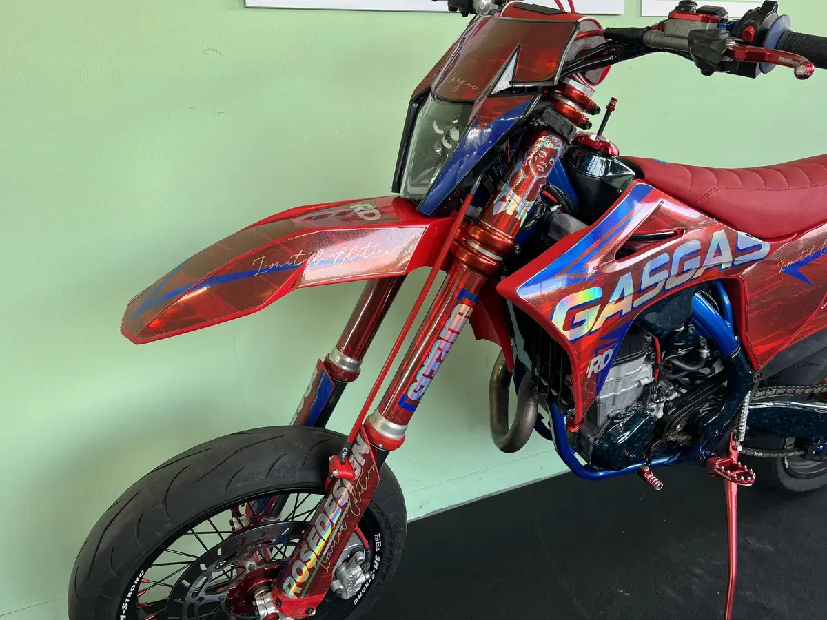 GASGAS MC 450 F (2023) (15)