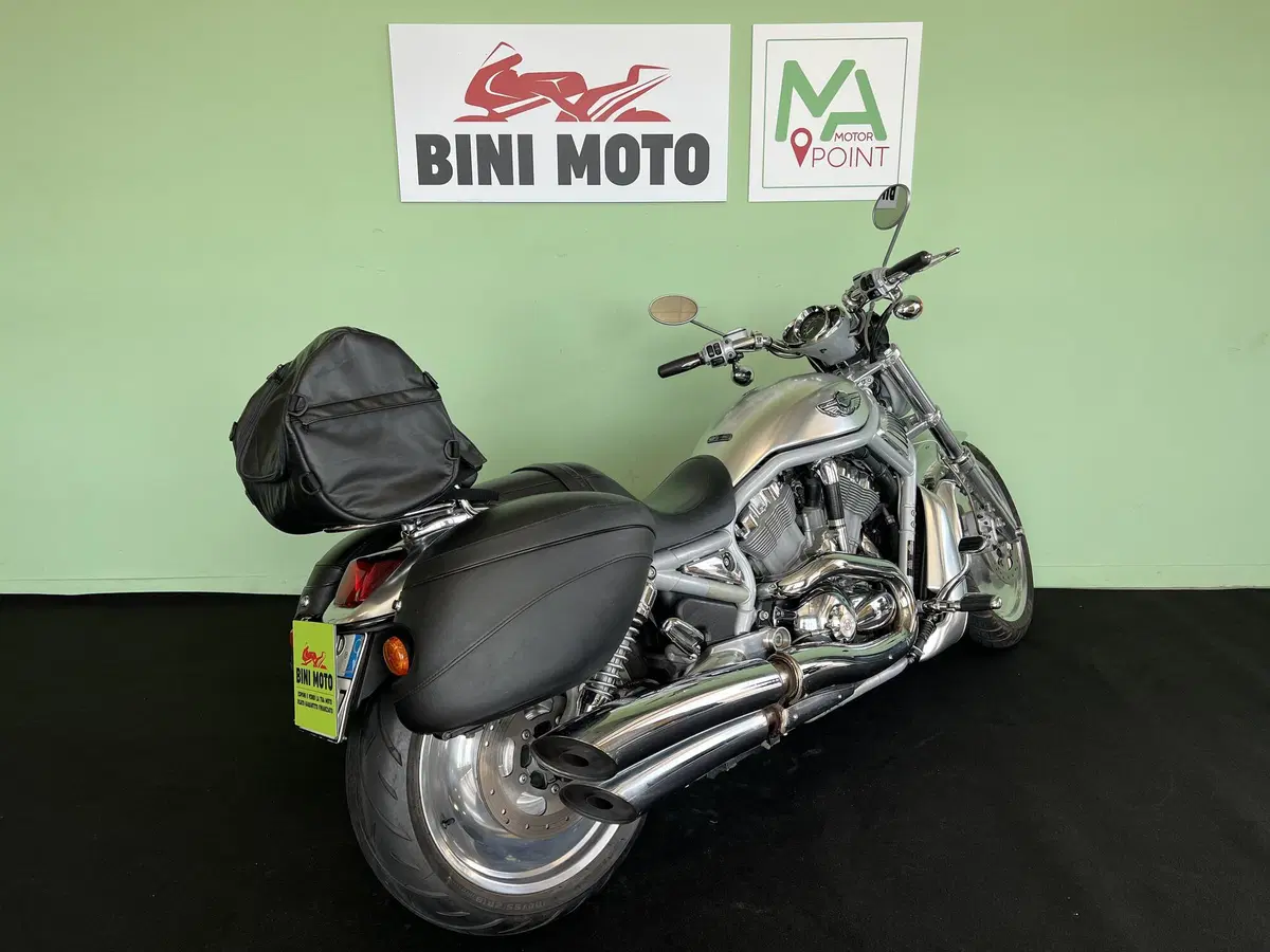 Harley-Davidson 1130 V-Rod (2002 - 05) - VRSCA (8)