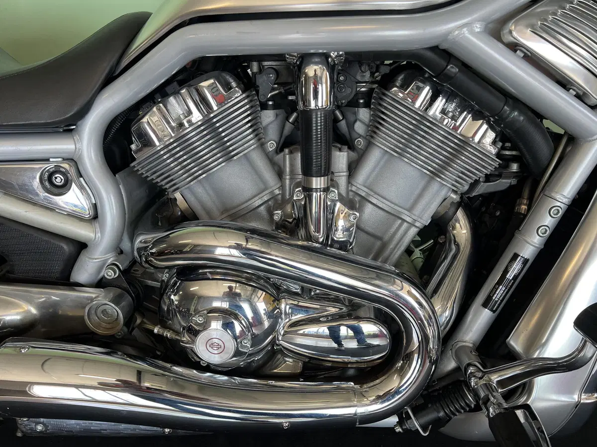 Harley-Davidson 1130 V-Rod (2002 - 05) - VRSCA (10)