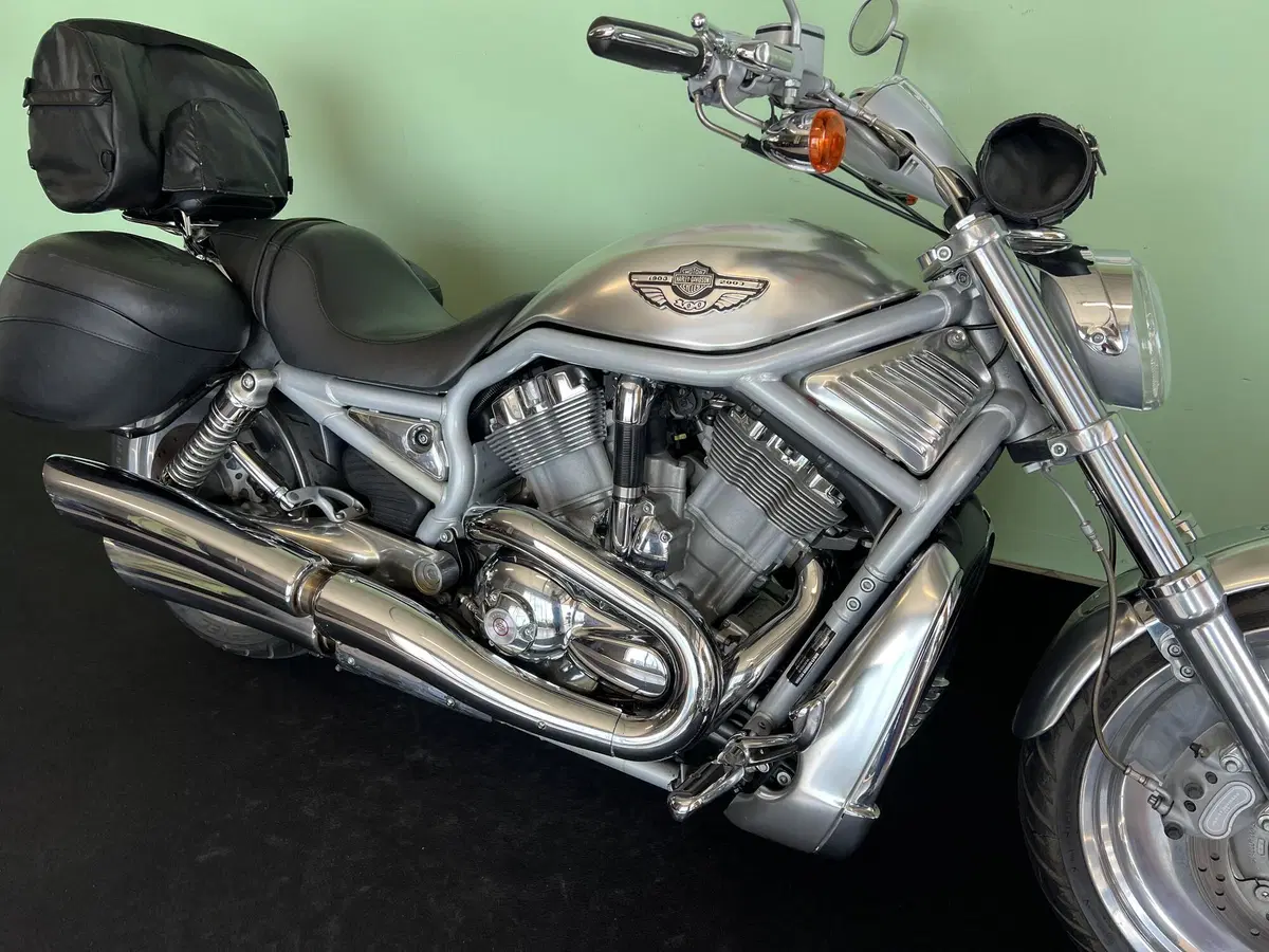 Harley-Davidson 1130 V-Rod (2002 - 05) - VRSCA (11)