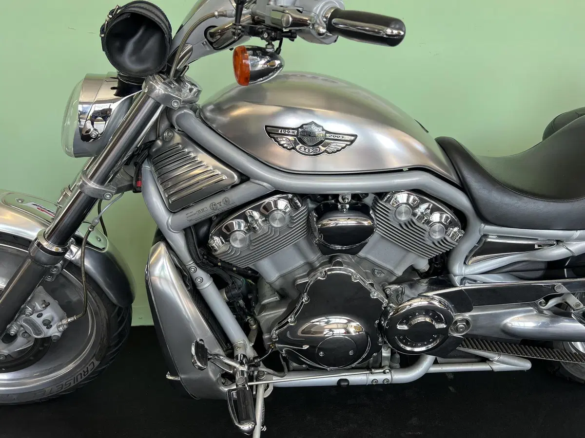 Harley-Davidson 1130 V-Rod (2002 - 05) - VRSCA (16)