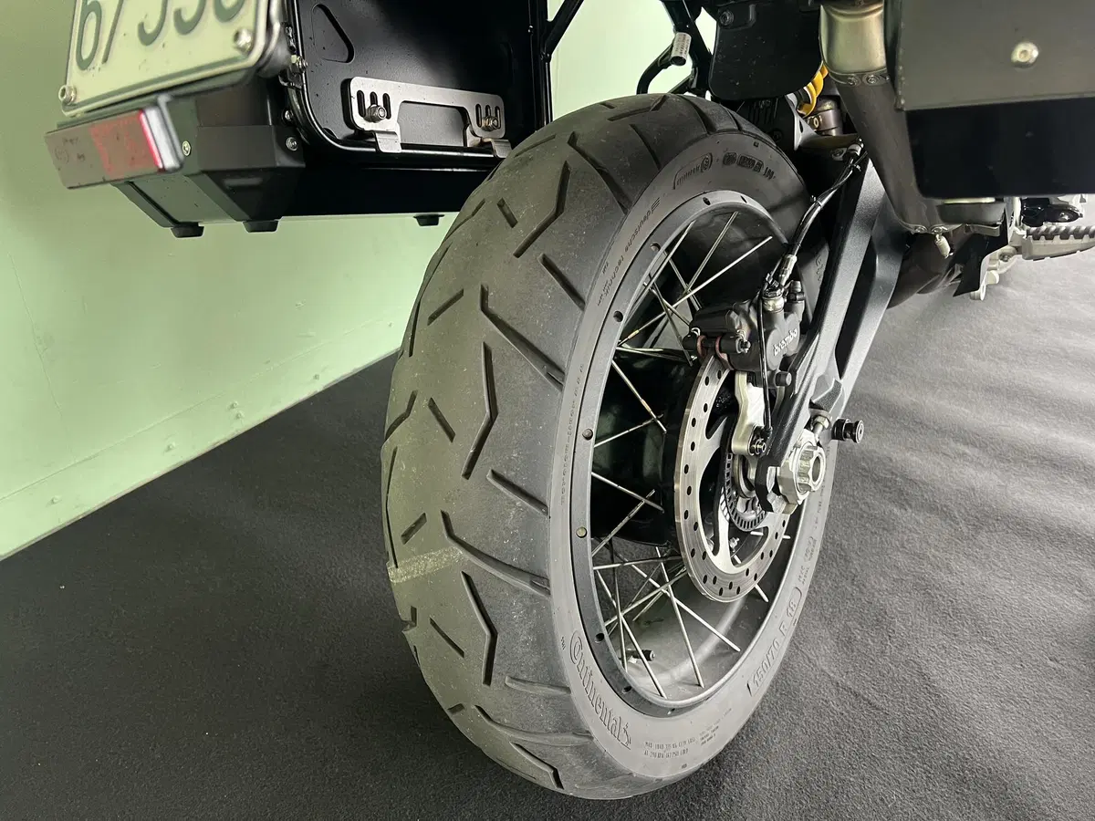 Ducati DesertX (2022 - 25) (19)