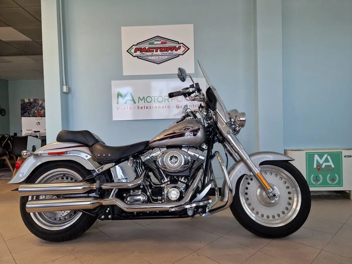 Harley-Davidson 1584 Fat Boy (2006 - 07) - FLSTF (10)