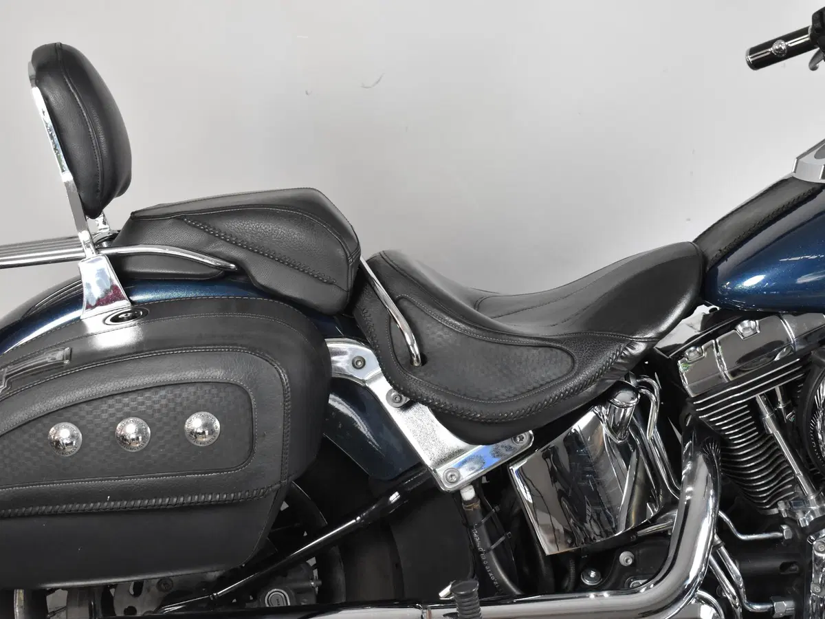 Harley-Davidson 1690 Deluxe ABS (2011 - 16) - FLSTN (11)