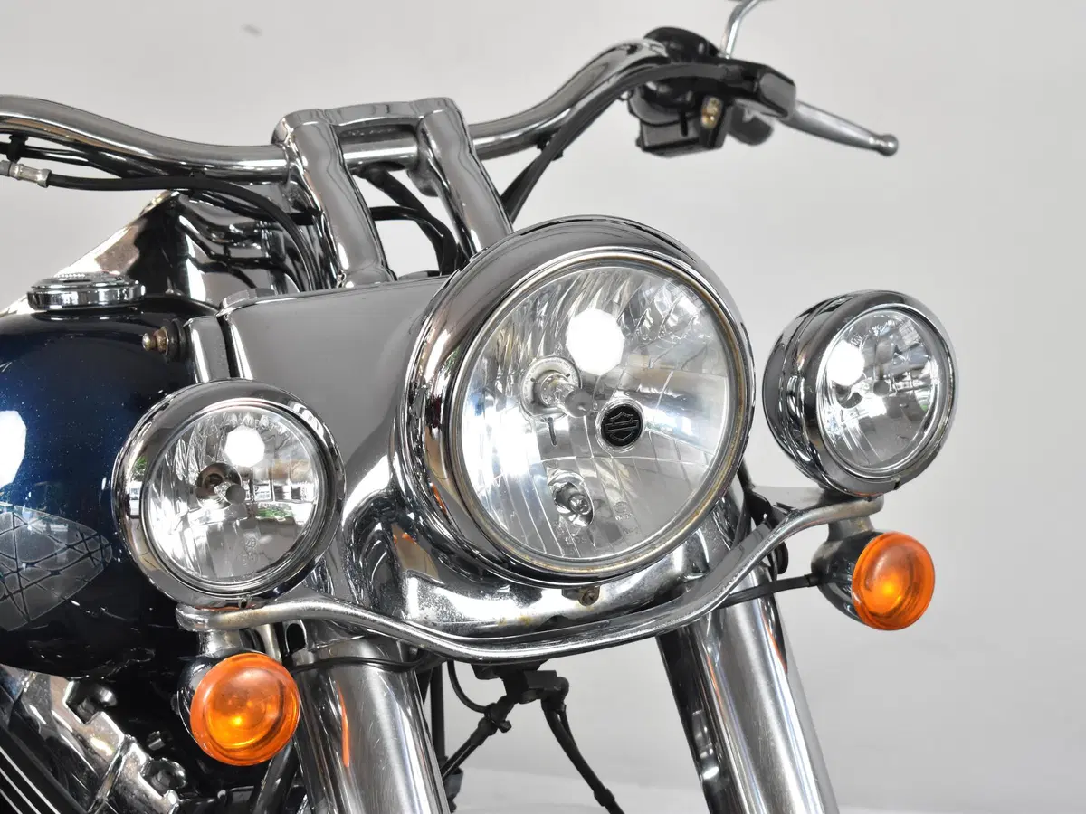 Harley-Davidson 1690 Deluxe ABS (2011 - 16) - FLSTN (13)