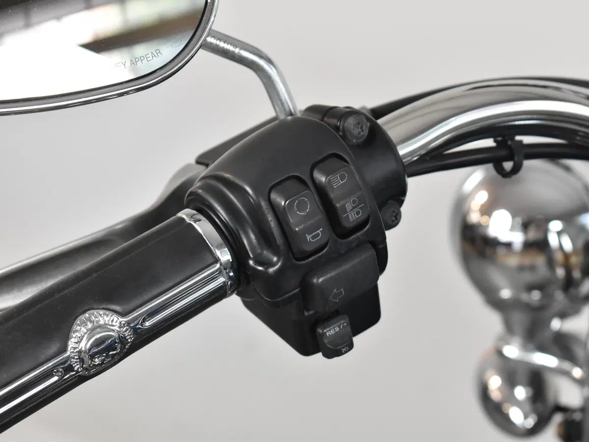 Harley-Davidson 1690 Deluxe ABS (2011 - 16) - FLSTN (18)