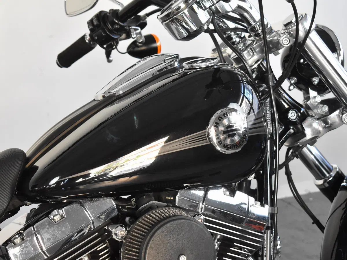 Harley-Davidson 1690 Breakout (2013 - 17) - FXSB (10)