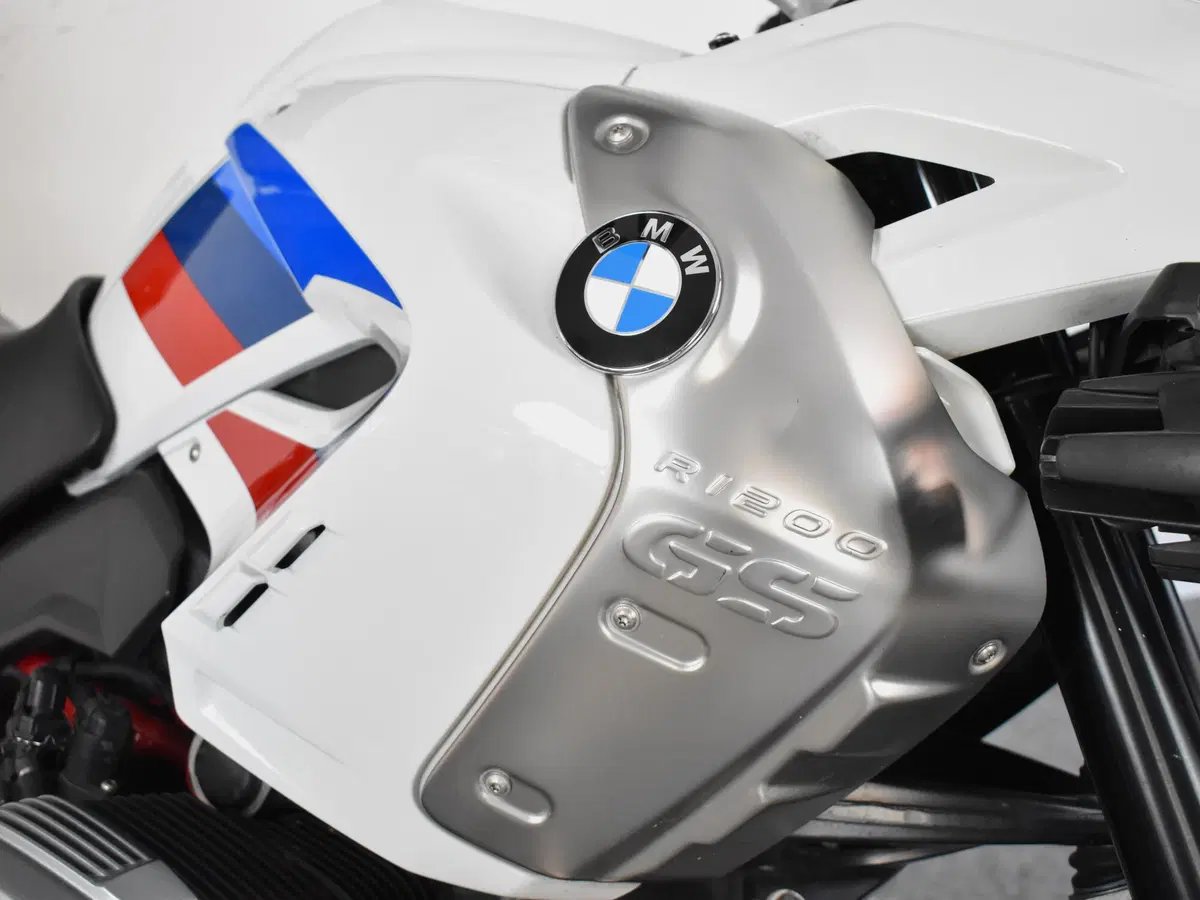 Bmw R 1200 GS (2010 - 12) (12)