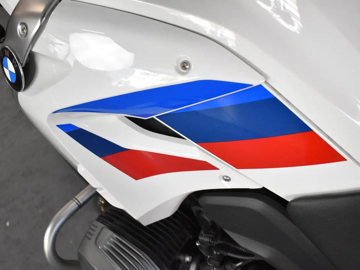 Bmw R 1200 GS (2010 - 12) (18)