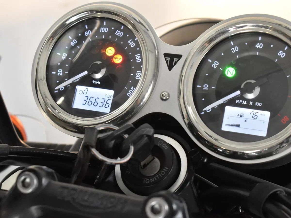 Triumph Bonneville T100 (2017 - 20) (8)
