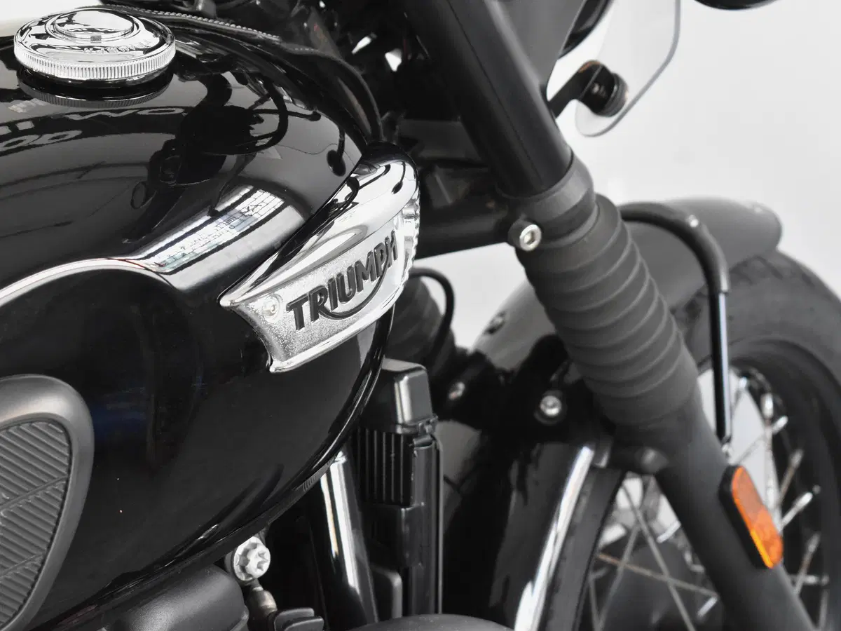 Triumph Bonneville T100 (2017 - 20) (9)