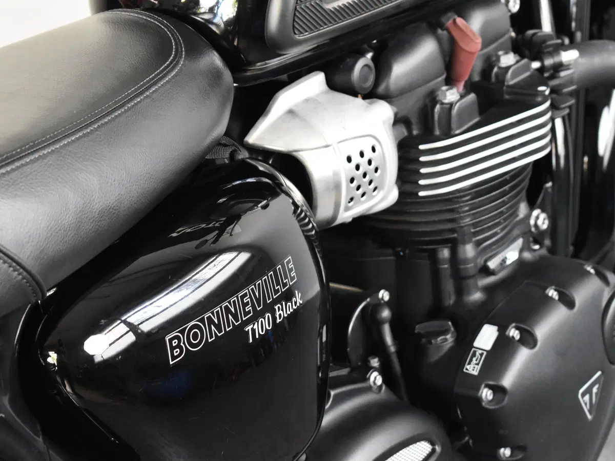 Triumph Bonneville T100 (2017 - 20) (10)
