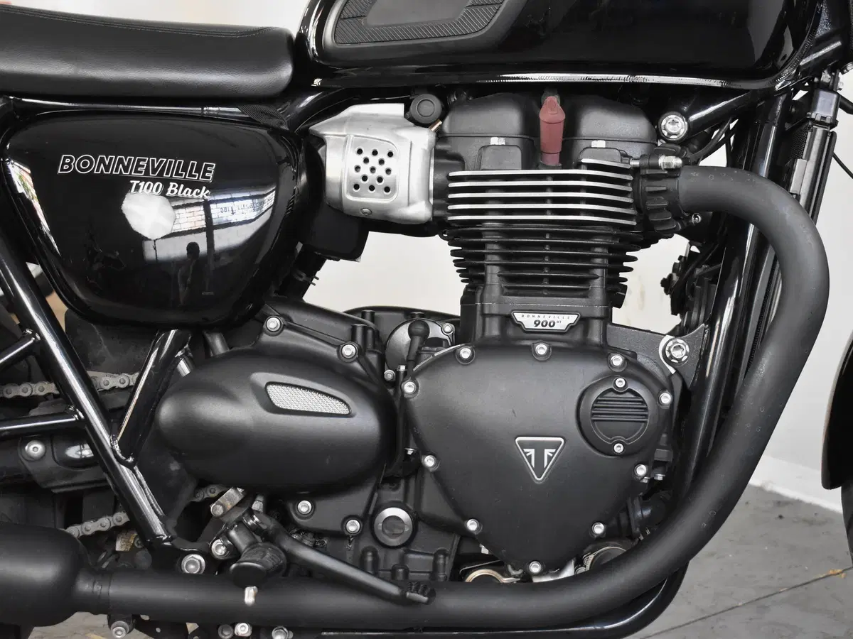 Triumph Bonneville T100 (2017 - 20) (12)
