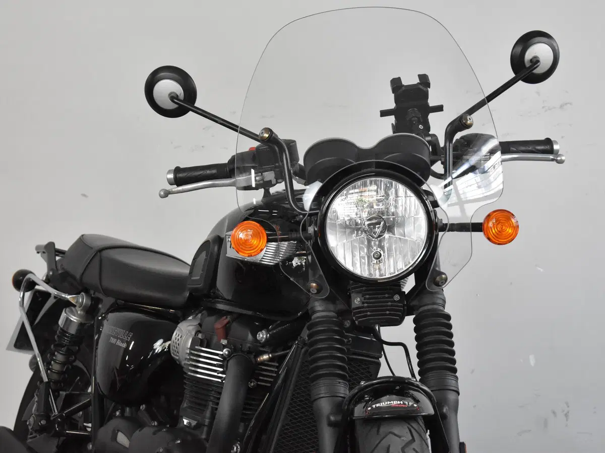 Triumph Bonneville T100 (2017 - 20) (13)