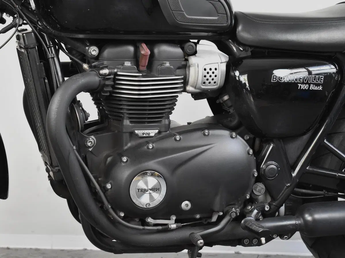 Triumph Bonneville T100 (2017 - 20) (15)
