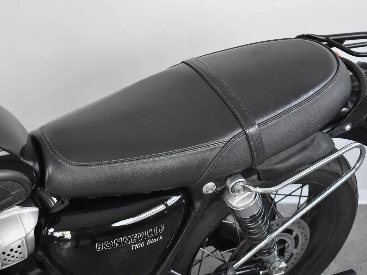 Triumph Bonneville T100 (2017 - 20) (17)