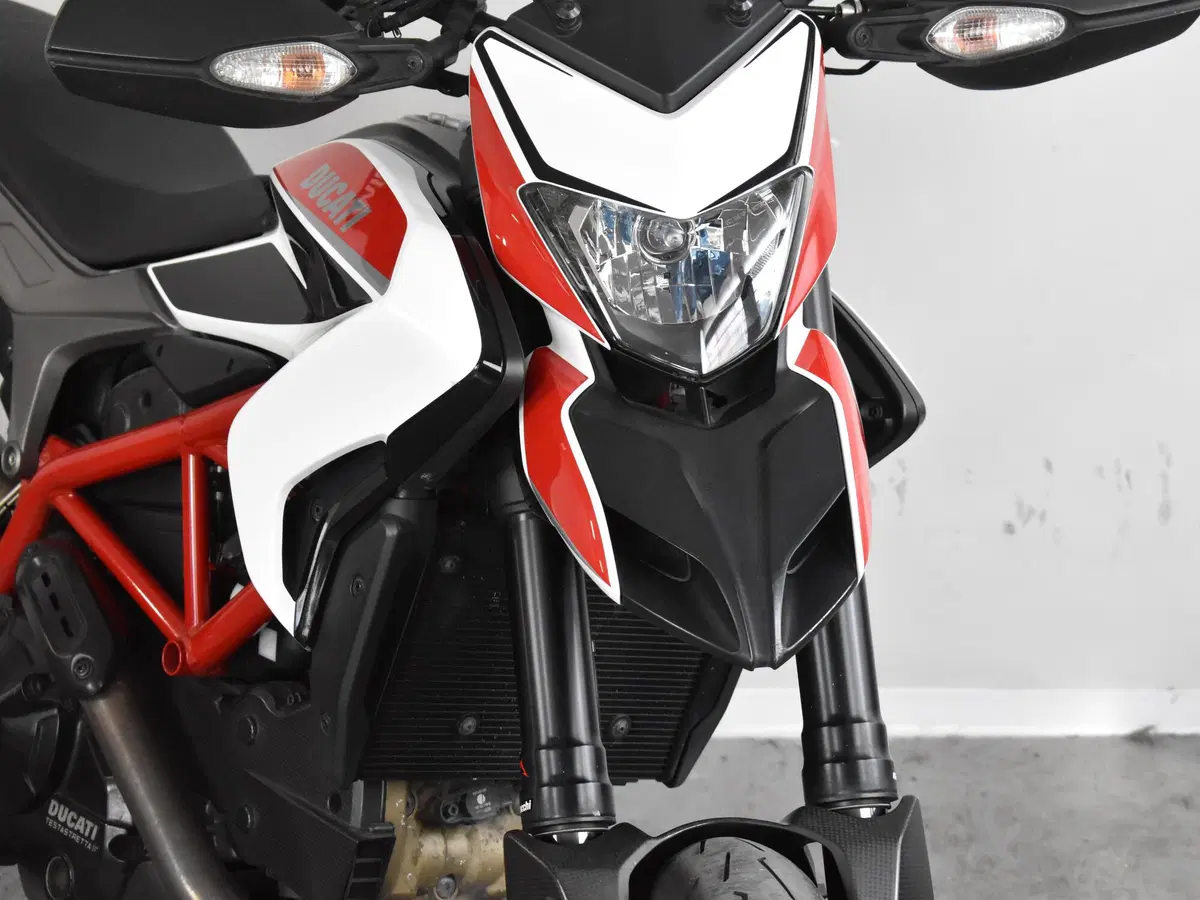 Ducati Hypermotard 821 SP (2013 - 15) (18)