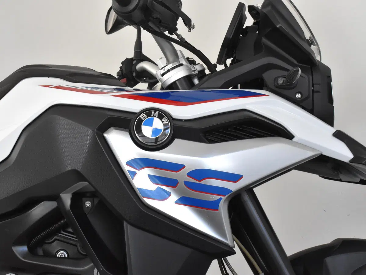 Bmw F 850 GS (2018 - 20) (9)
