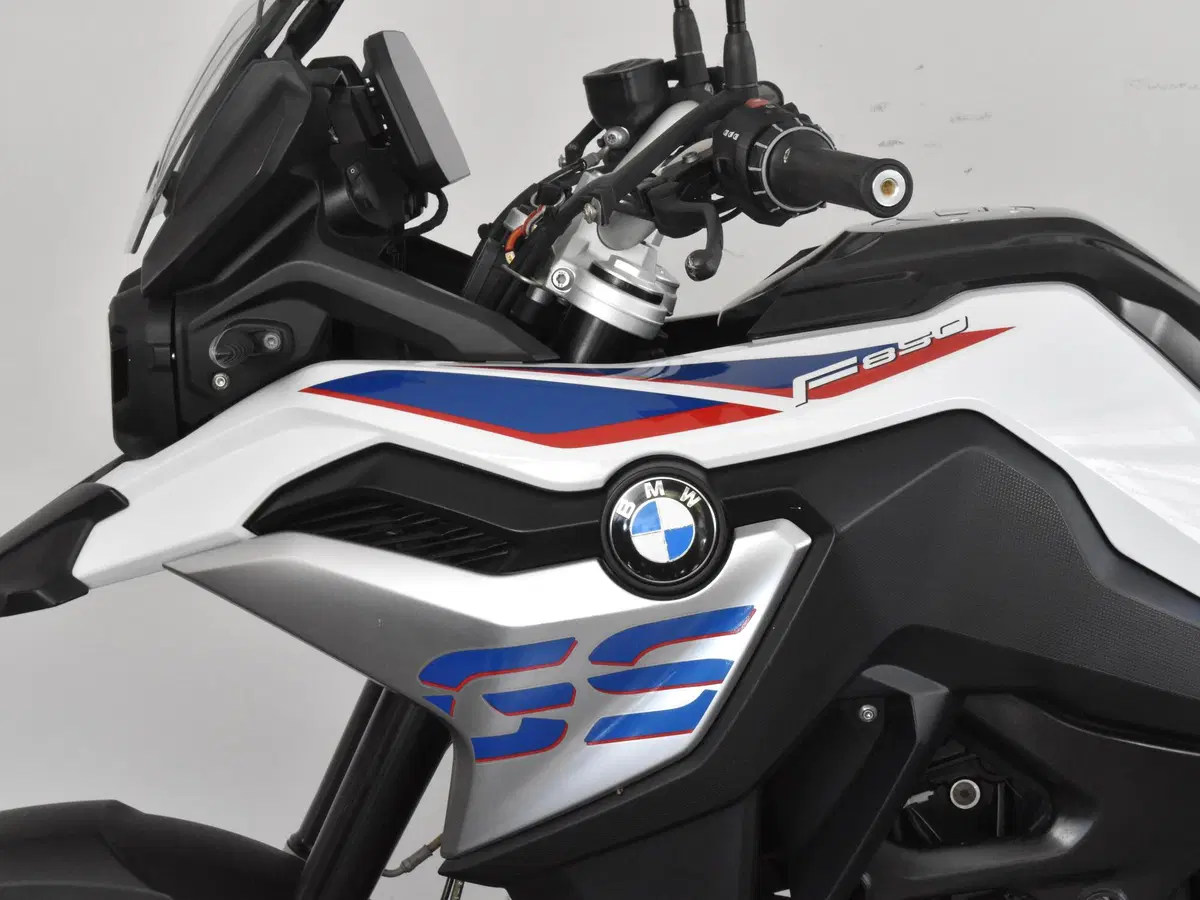 Bmw F 850 GS (2018 - 20) (14)