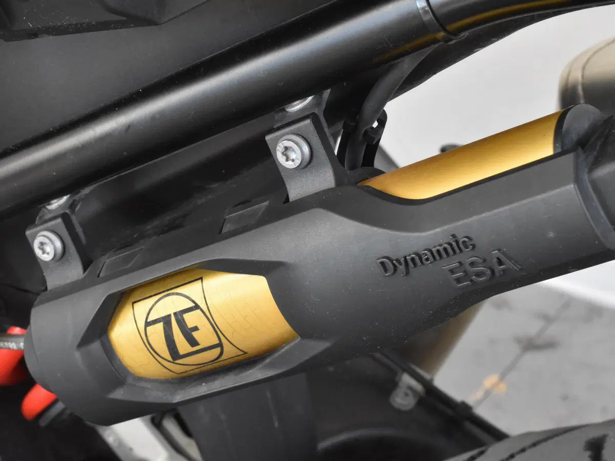 Bmw F 850 GS (2018 - 20) (15)