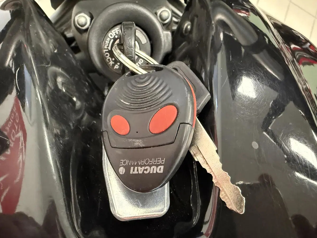 Ducati Monster S2 R (2004 - 07) (8)