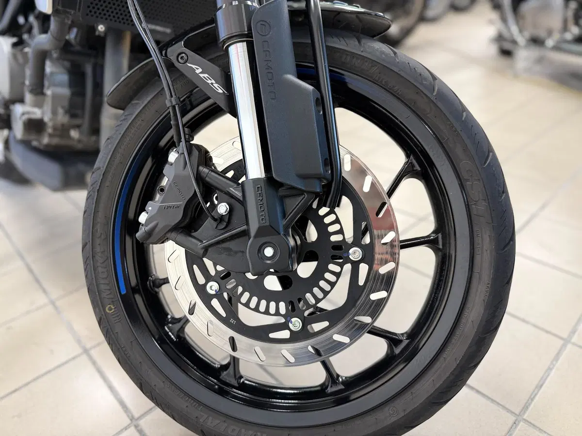 CFMOTO 300CL-X Heritage (2023 - 26) (10)
