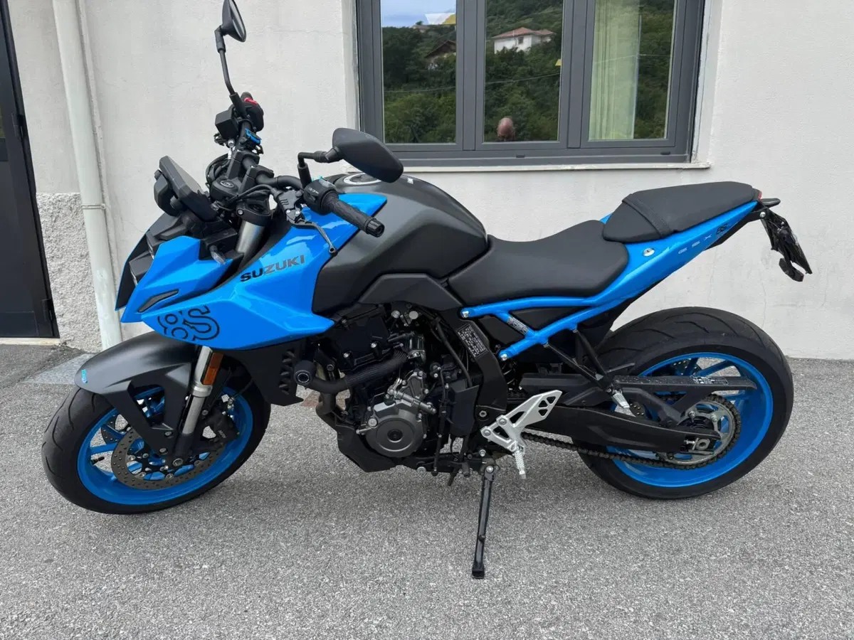Suzuki GSX-8S (2023 - 24) (2)