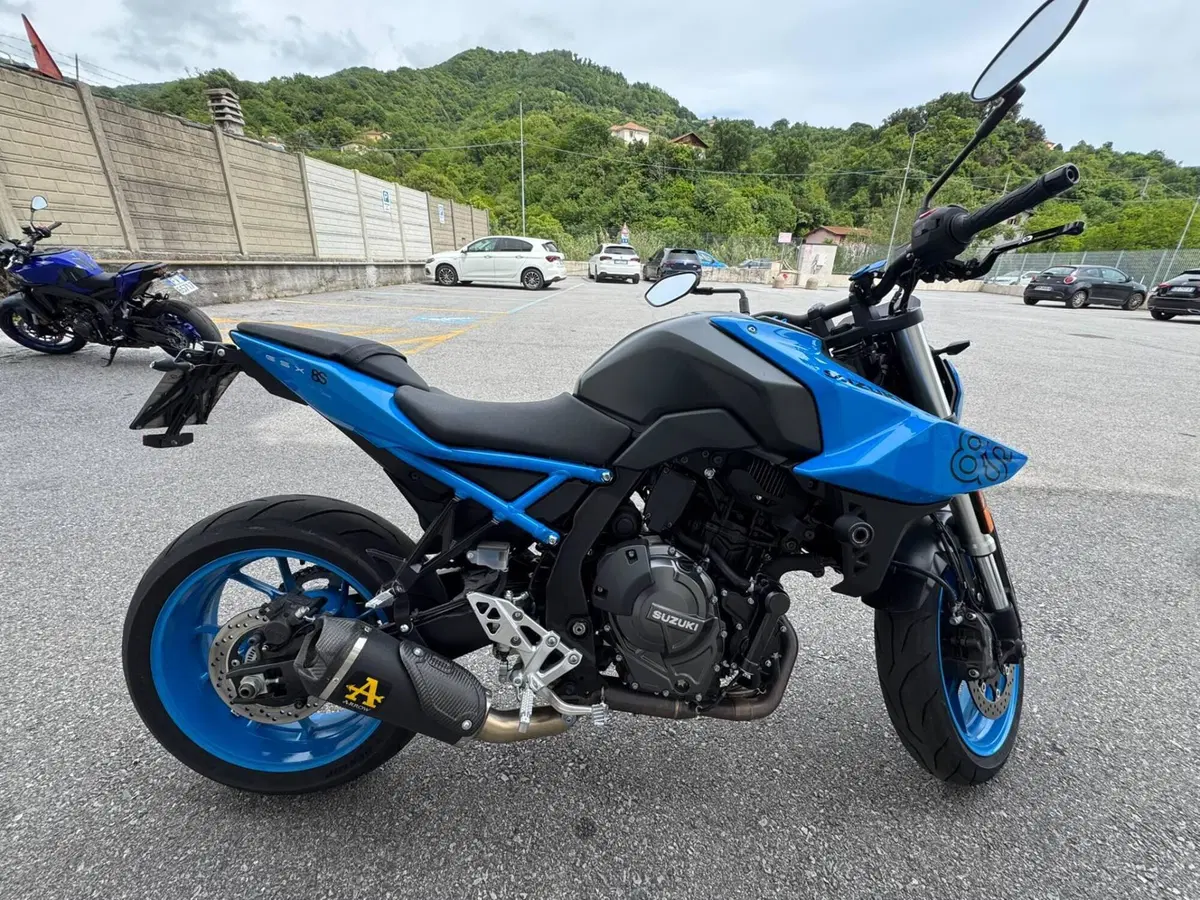 Suzuki GSX-8S (2023 - 24) (3)