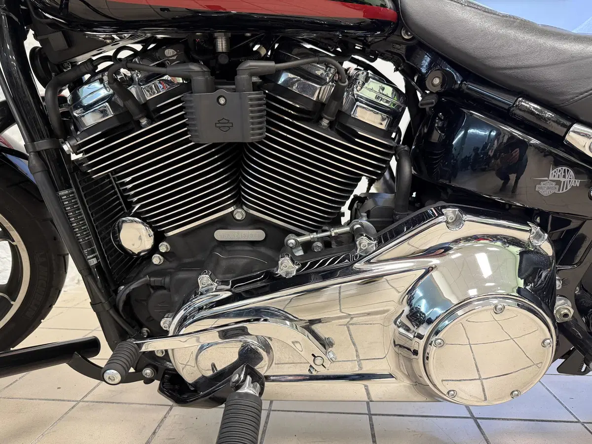 Harley-Davidson 107 Low Rider (2018 - 20) - FXLR (8)
