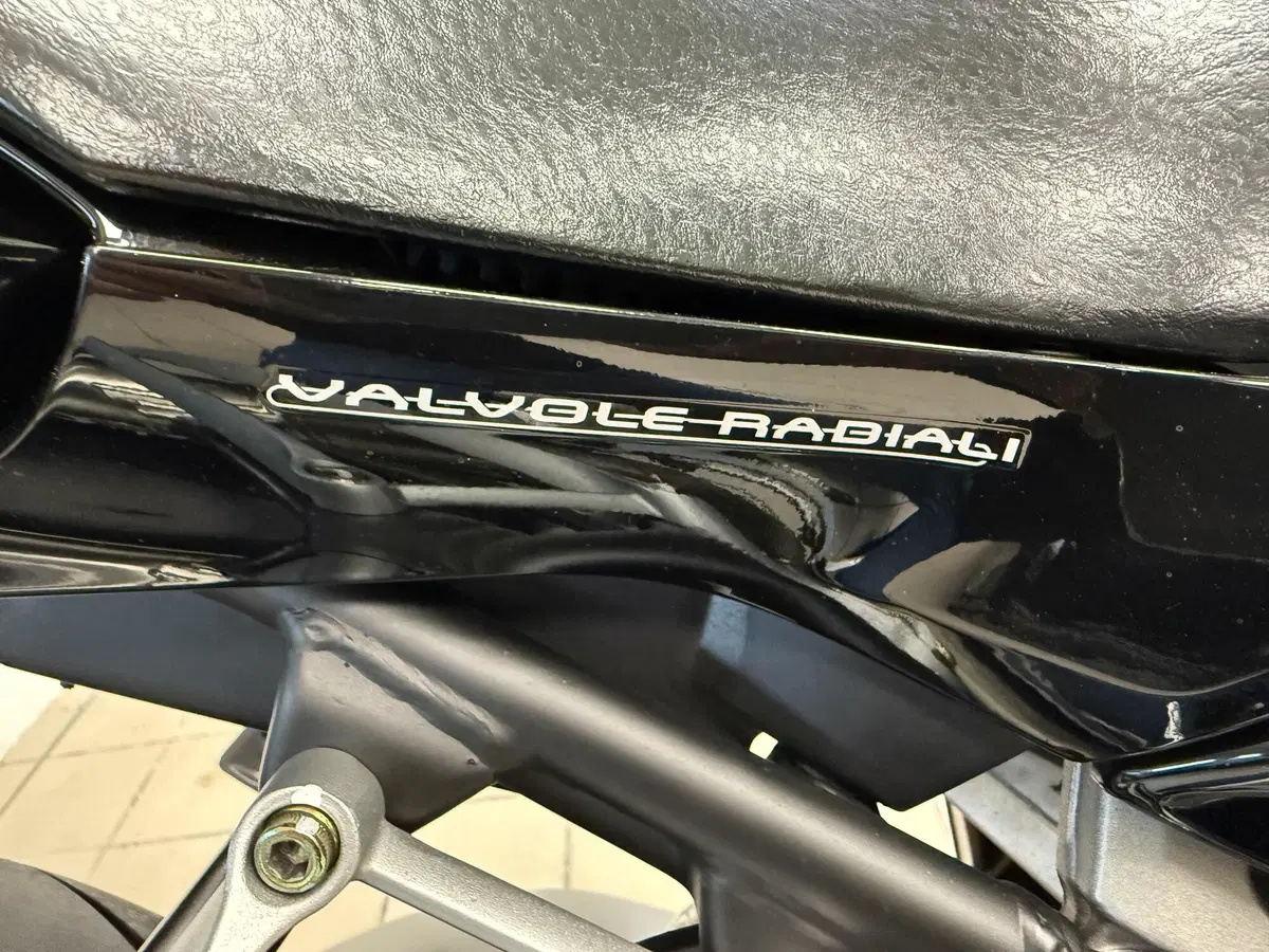 MV Agusta Brutale 910 R (2006 - 11) (13)