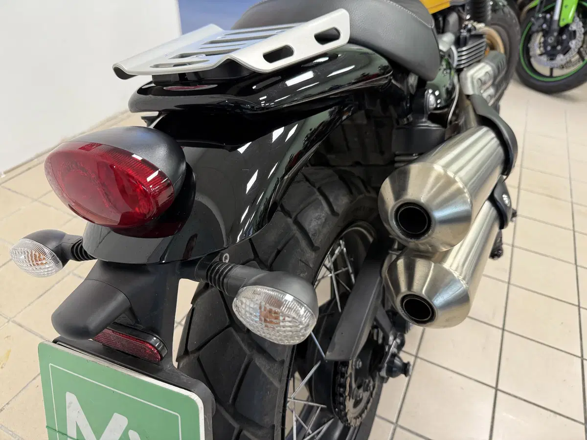 Triumph Scrambler 900 (2023 - 25) (7)