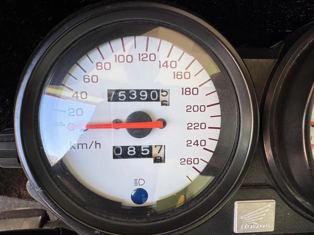 Honda Hornet 600 (2000 - 02) (7)