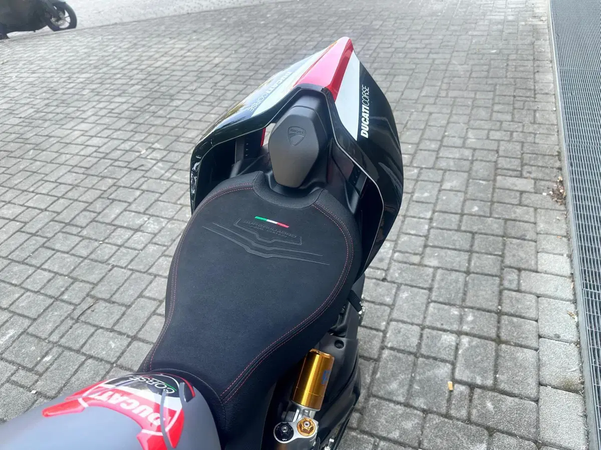 Ducati Panigale V2 Superquadro Final Edition (2024) (8)