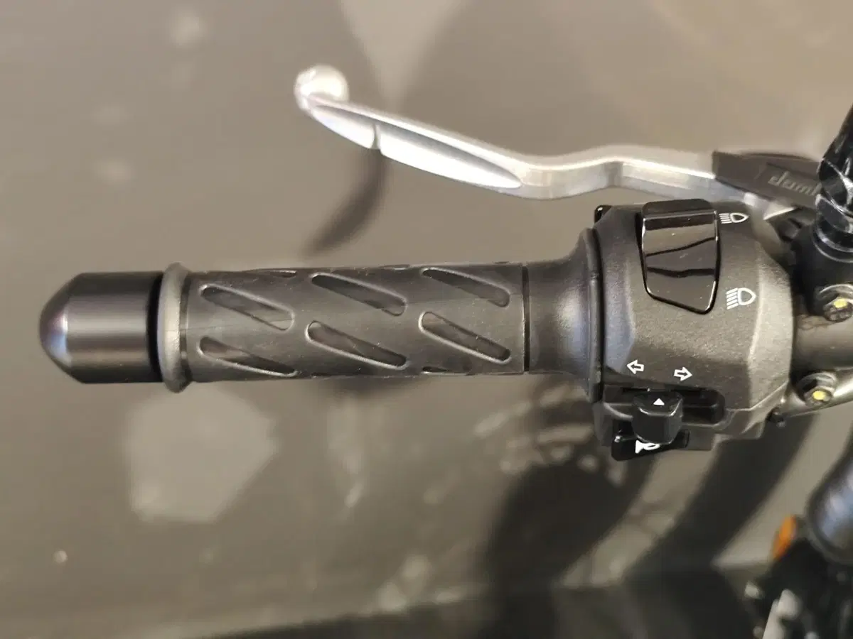 Moto Guzzi V7 III Rough (2018 - 20) (16)
