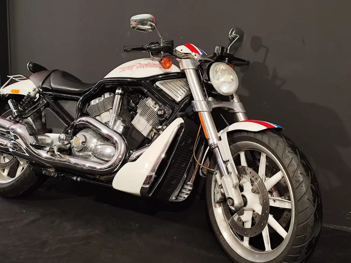 Harley-Davidson 1130 Street Rod (2006 - 07) - VRSCR (8)